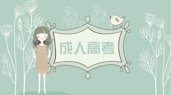 紅河成人高考報名費用標準是是什么？